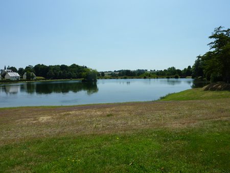 The lake in the park
