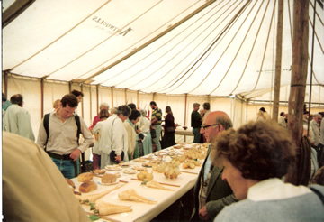 Viewing the Flower Show exhibits